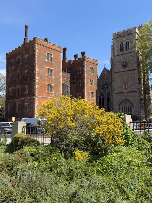 A lush, green garden bed featuring a variety of plants and yellow flowering shrubs in front of historic stone and red brick buildings, including a church with a clock face and a castle-like structure 